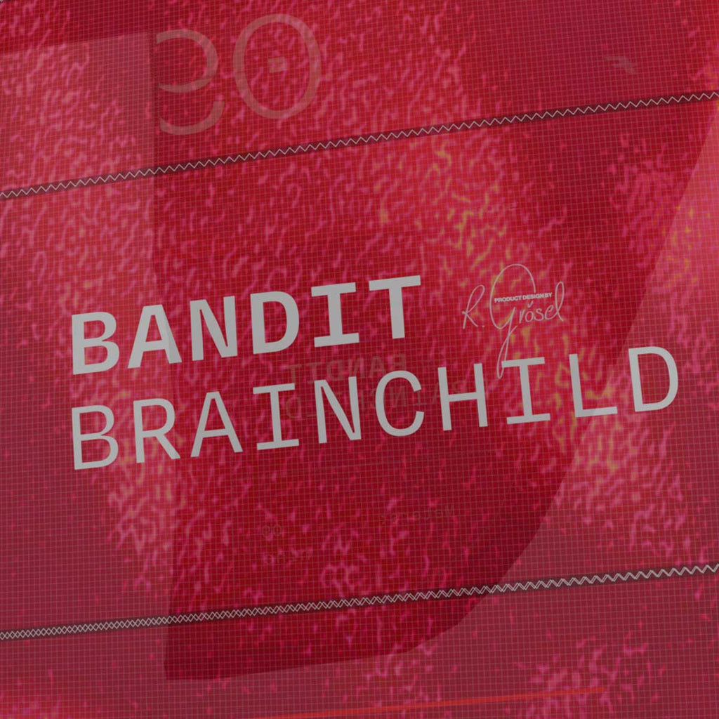 Detailaufnahme vom Schriftzug "Brainchild" F-ONE Bandit 18 Brainchild